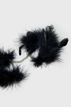 إثارة الريش قيود product image